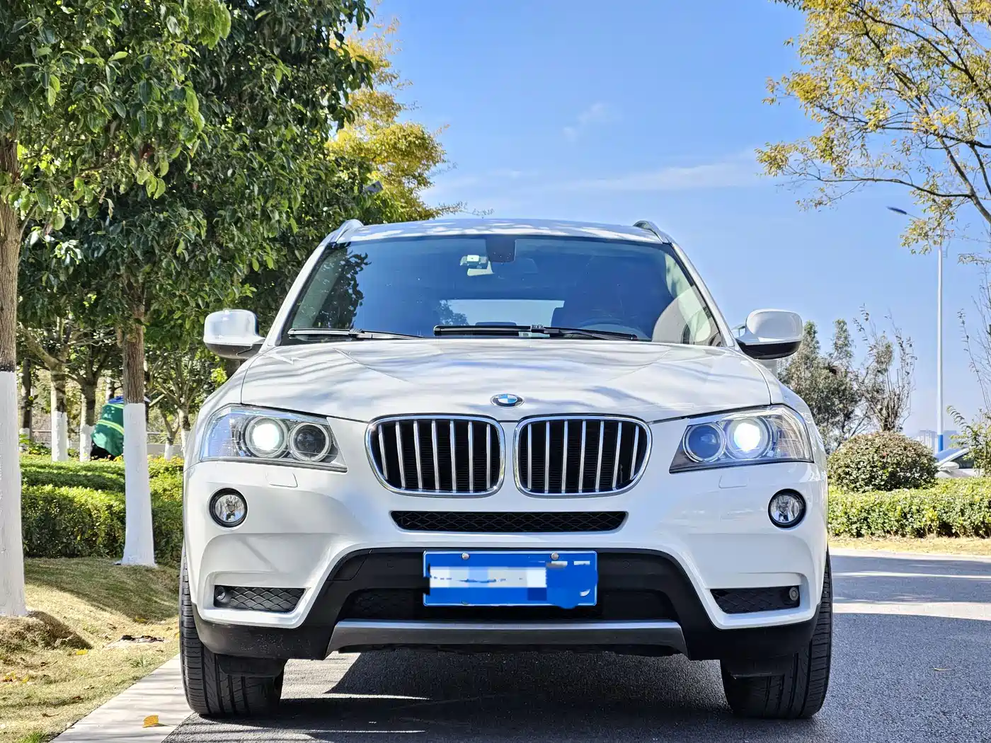 BMW X3 (Import) 2013 xDrive20i Luxury фото 2