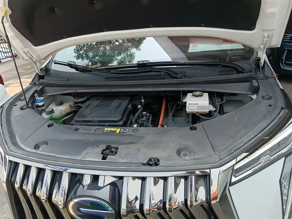 GAC Trumpchi Trumpchi M8 2024 Patriarch Series Twin Engine Ultimate Edition фото 16