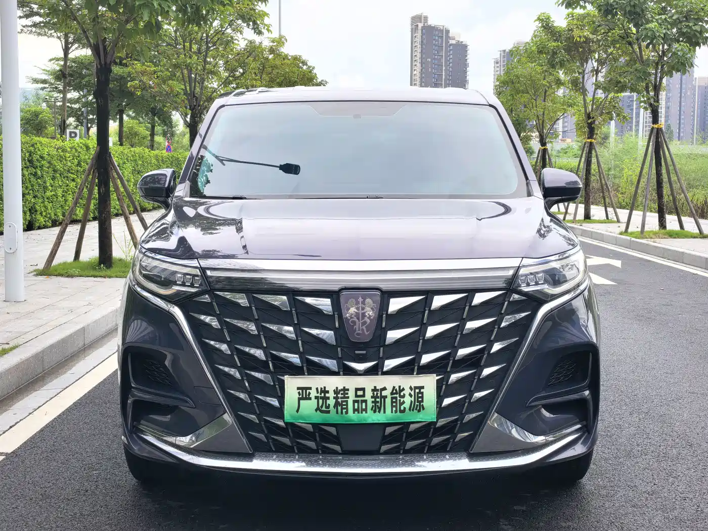 Roewe iMAX8 EV 2022 2022 Silver Edition