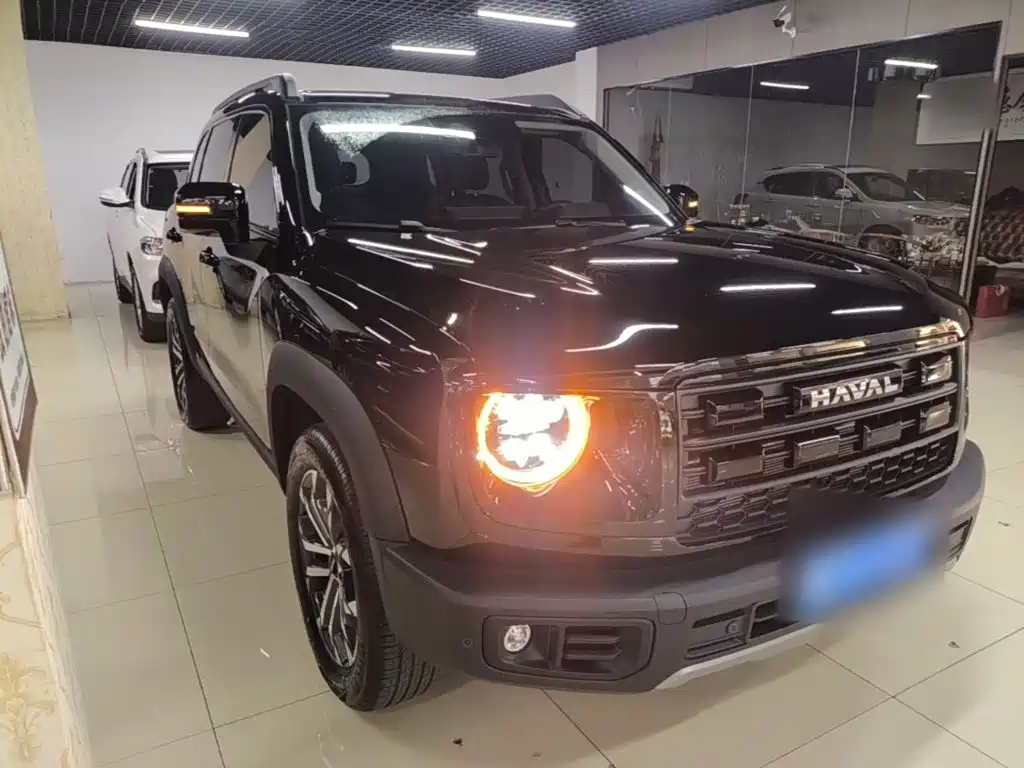 Фото 4 - Haval Dargo