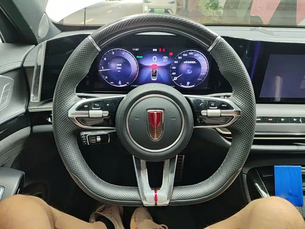 صورة 11 - Hongqi H9