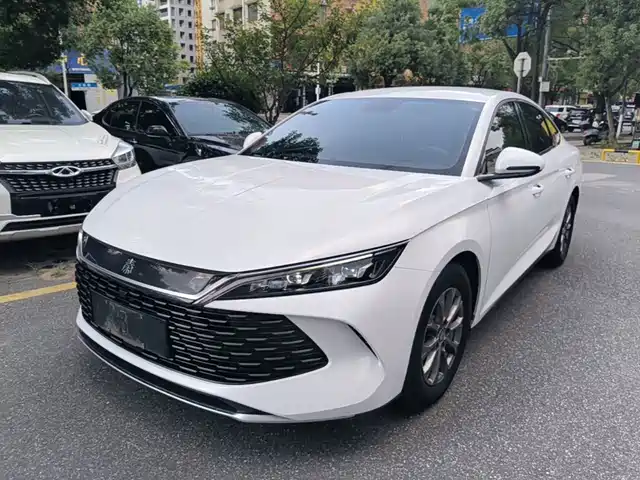 BYD Qin L DM-i 80KM, Лидер