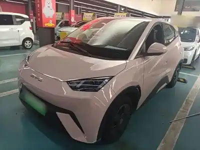 BYD Seagull