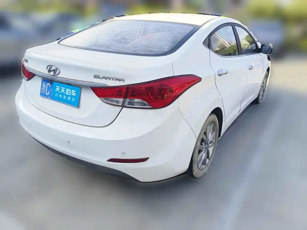 Hyundai Langdong 2015 2015 1.6L Manual Premium