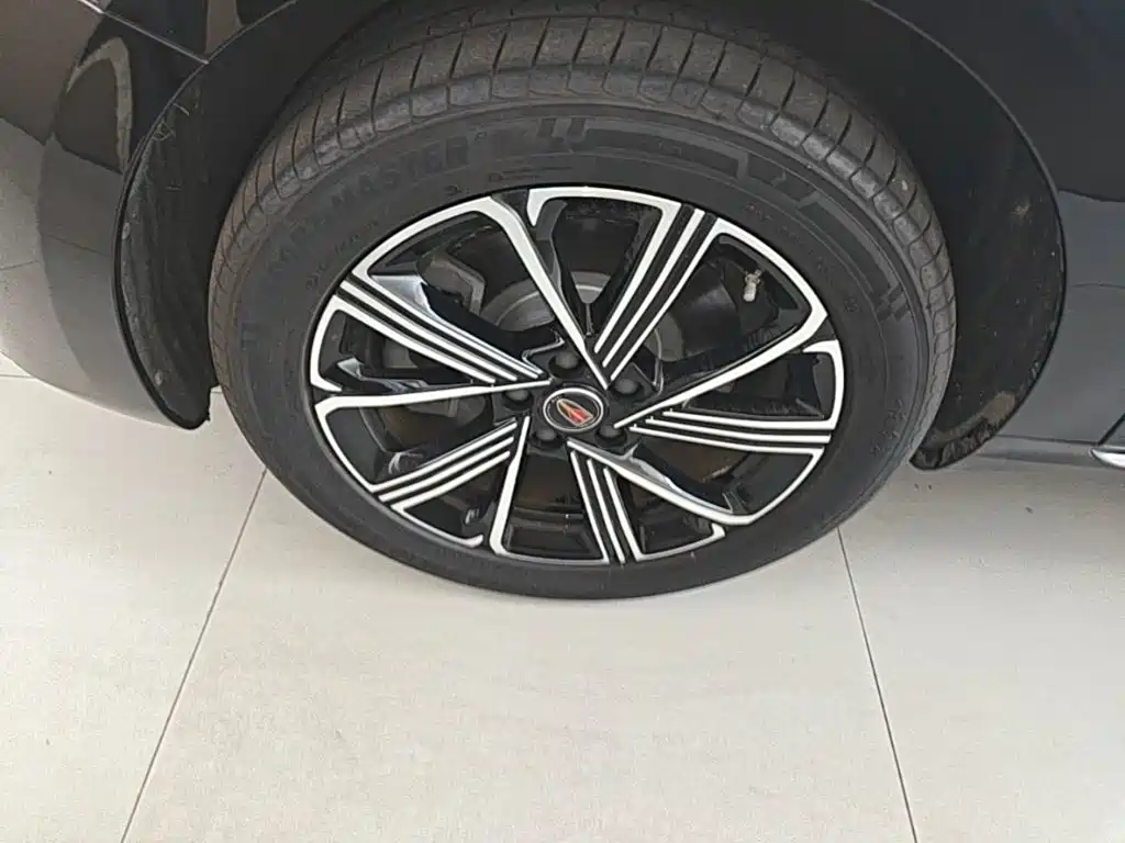 Photo 23 - Hongqi H5 PHEV