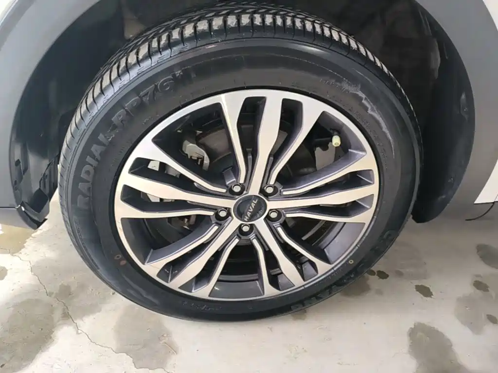 Haval F7 2019 2019 1.5T 2WD i-Trend China VI