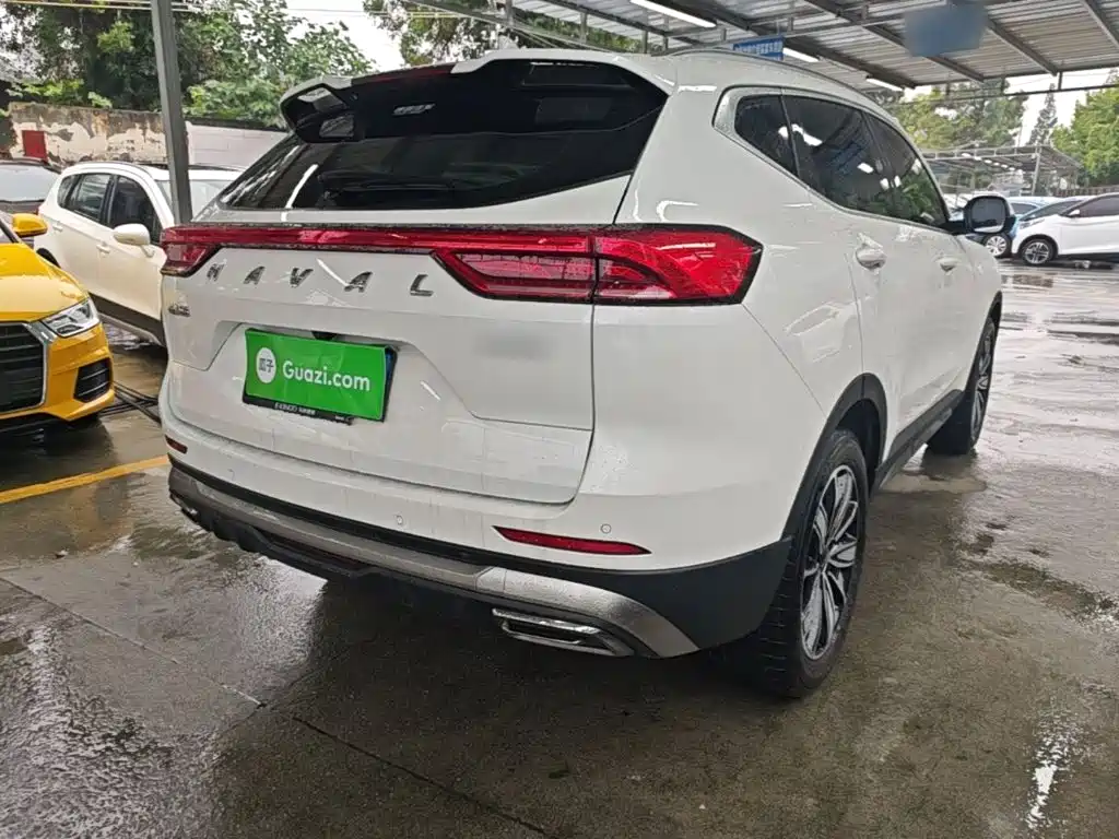 Haval H6 2024 2023 National Trend Edition 1.5T Automatic Champion