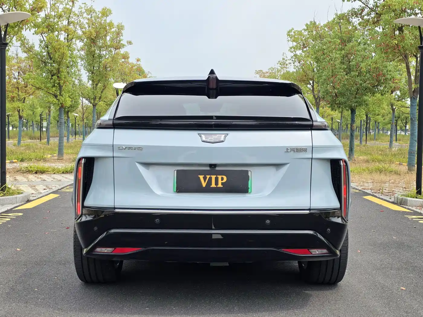 Cadillac IQ Rui Ge 2024 2024 RWD Standard Range Luxury Edition
