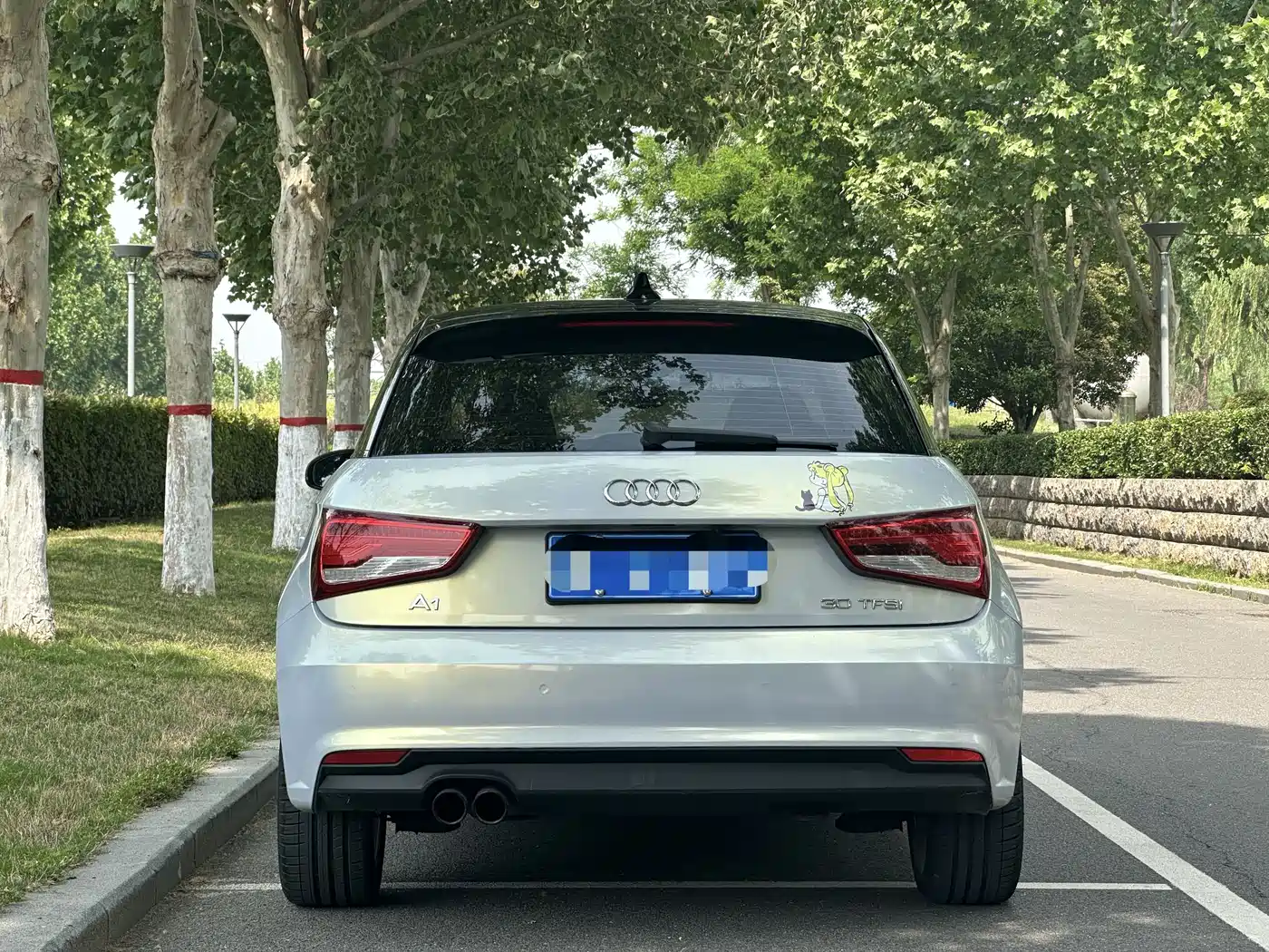 Audi A1 2016 30 TFSI Sportback Design Style Edition фото 8