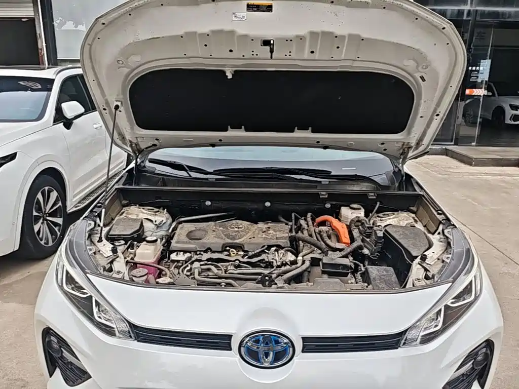 Фото 20 - Toyota Wildlander