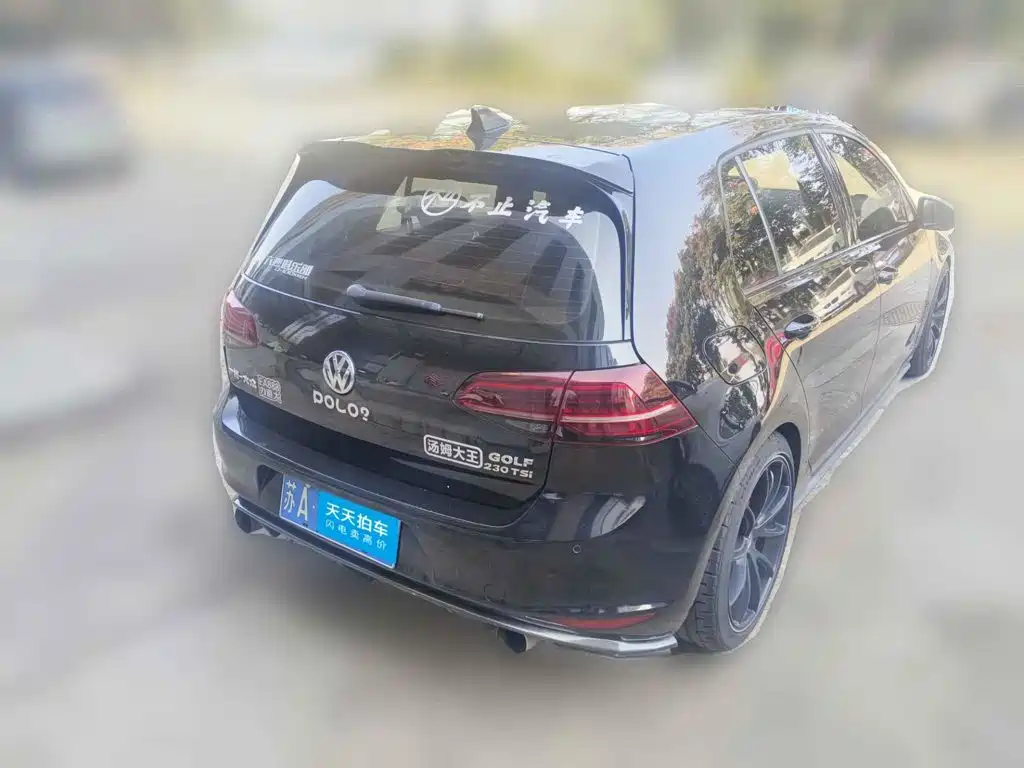 Volkswagen Golf GTI 2016 2016 2.0TSI GTI