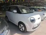 Photo 4 - Changan Lumin