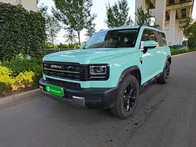Haval Meng Long NEV 2025