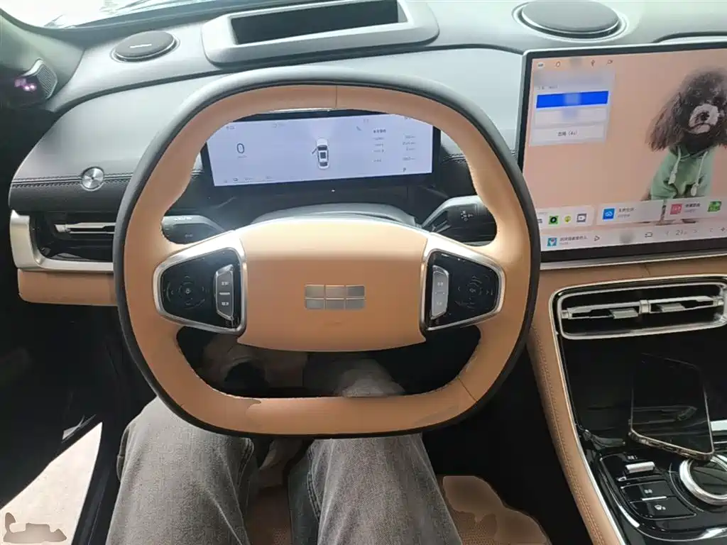 Geely Galaxy Galaxy A7 2025 EM-i фото 10