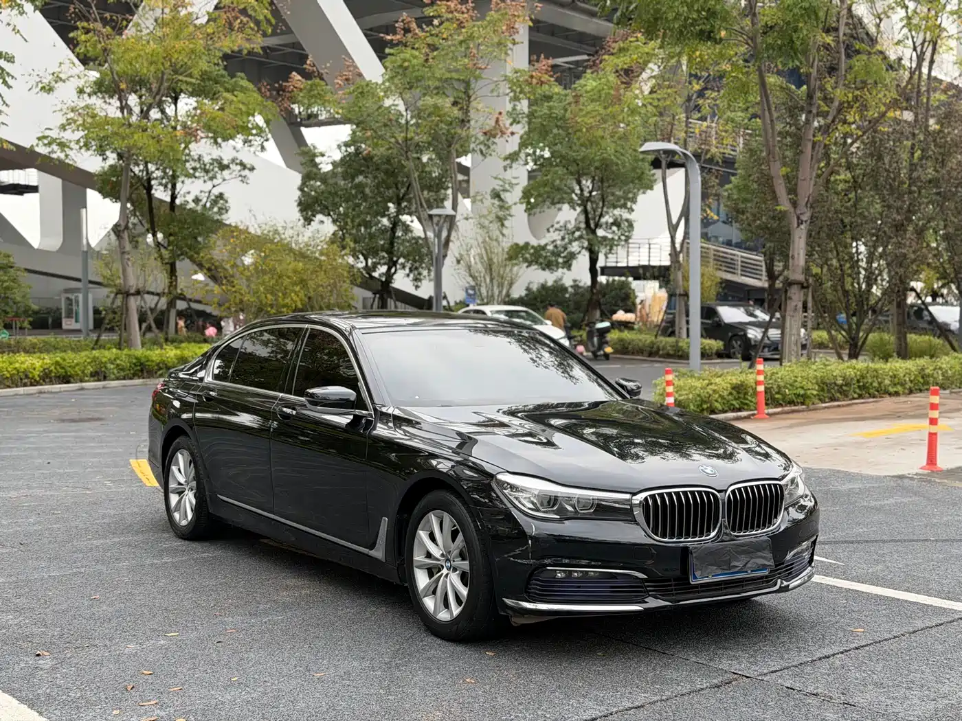 BMW 7 Series 2016 730Li Leading фото 3