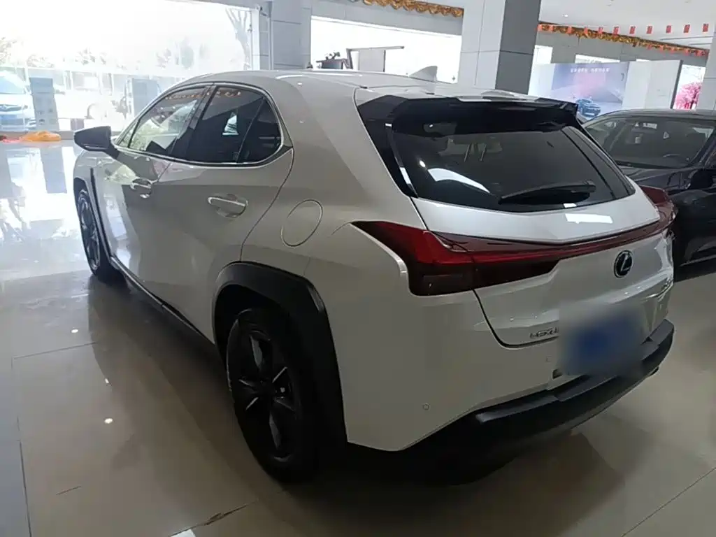 صورة 23 - Lexus UX