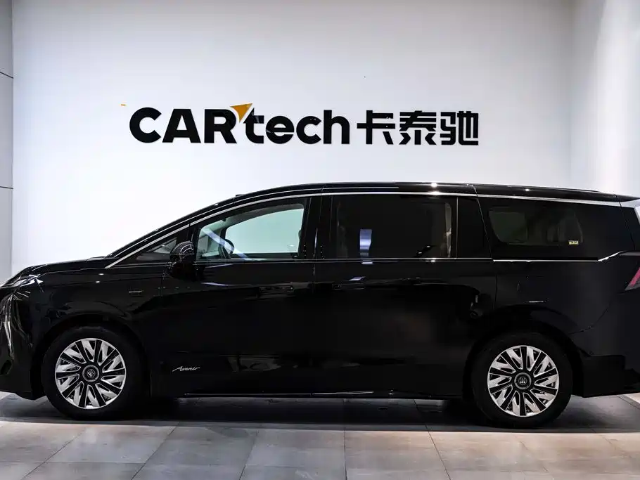 Фото 9 - Buick Zhijing Shijia