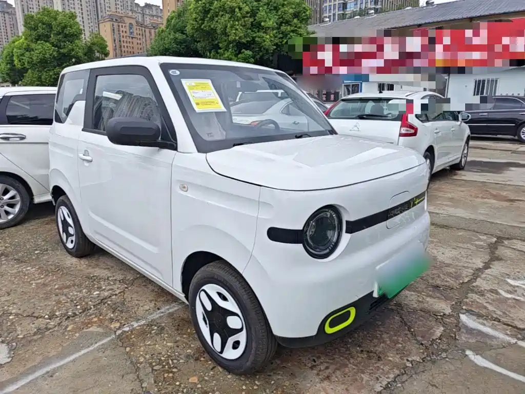 Geely Galaxy Panda 2026 2025 Panda mini 210km Vitality Bear