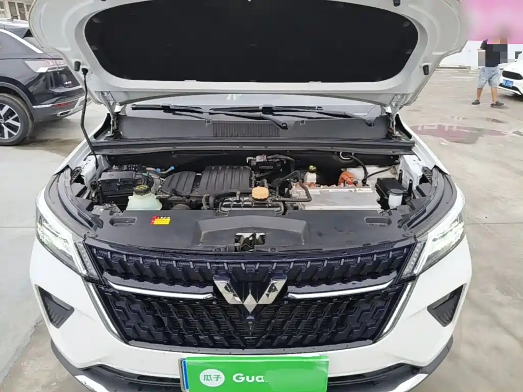 Wuling Motors Wuling Xingchen 2024 2022 2.0L DHT Electric Speed Edition