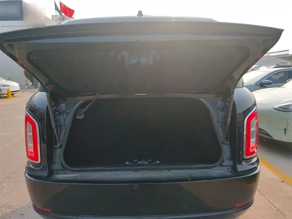 LEVC TX 2024 2023 TX5 Extended Range Travel Edition