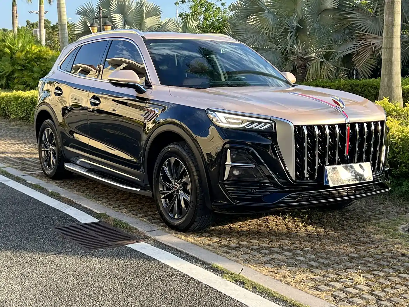 Hongqi HS5 2025 2025 2.0T 2WD Qixiang Pro