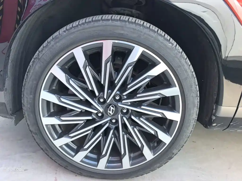 Hyundai Santa Fe 2024 2024 2.0T Connoisseur Ultra