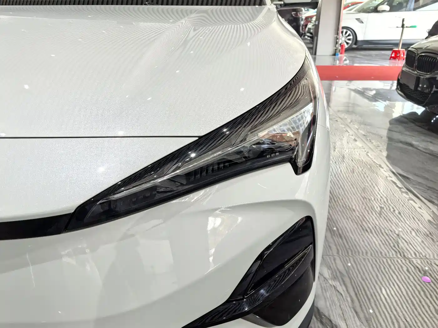 ARCFOX EXTREME FOX POLAR FOX ALPHA T5