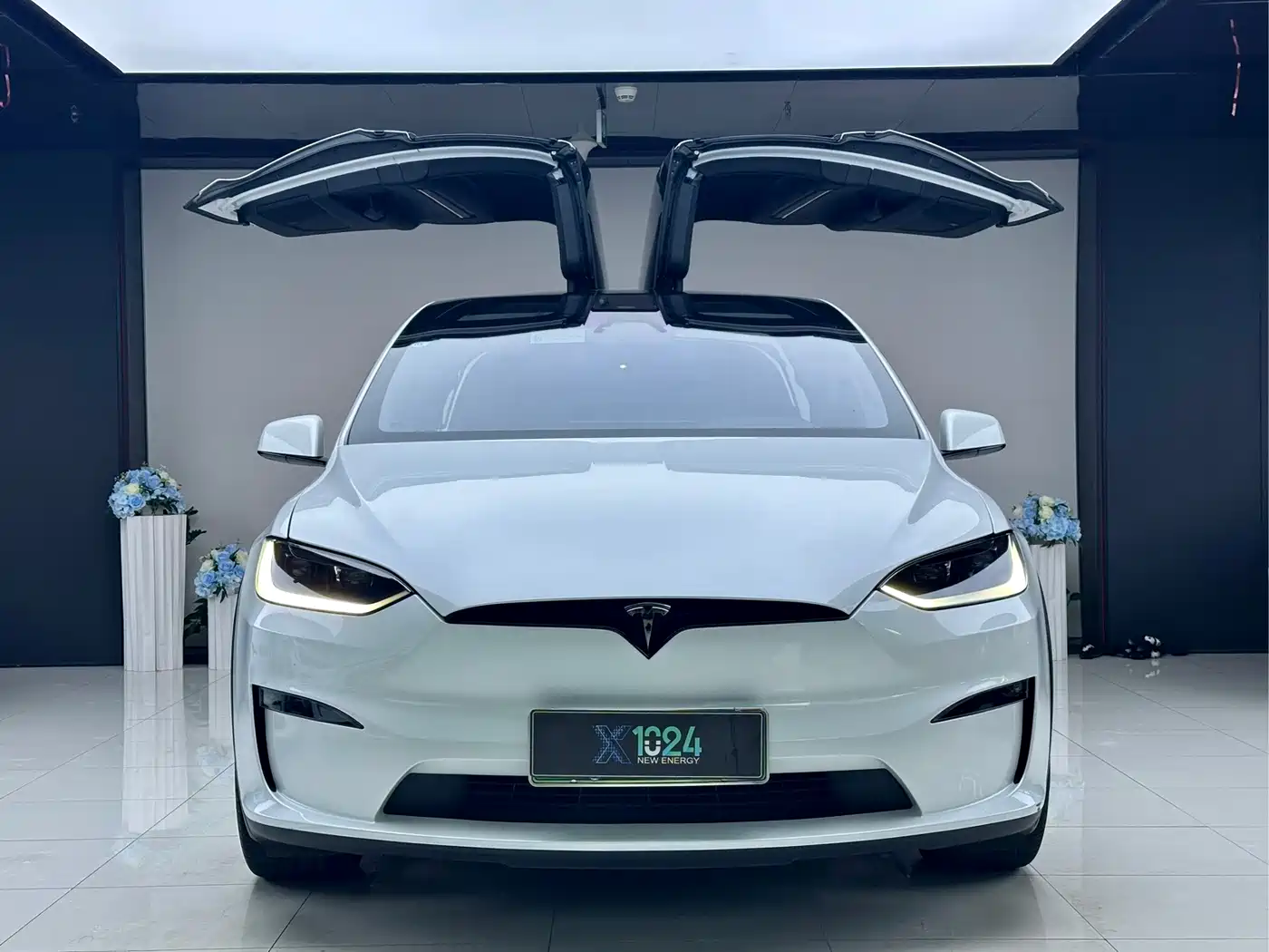 Tesla Model X 2023 2023 Dual Motor All-Wheel Drive Edition