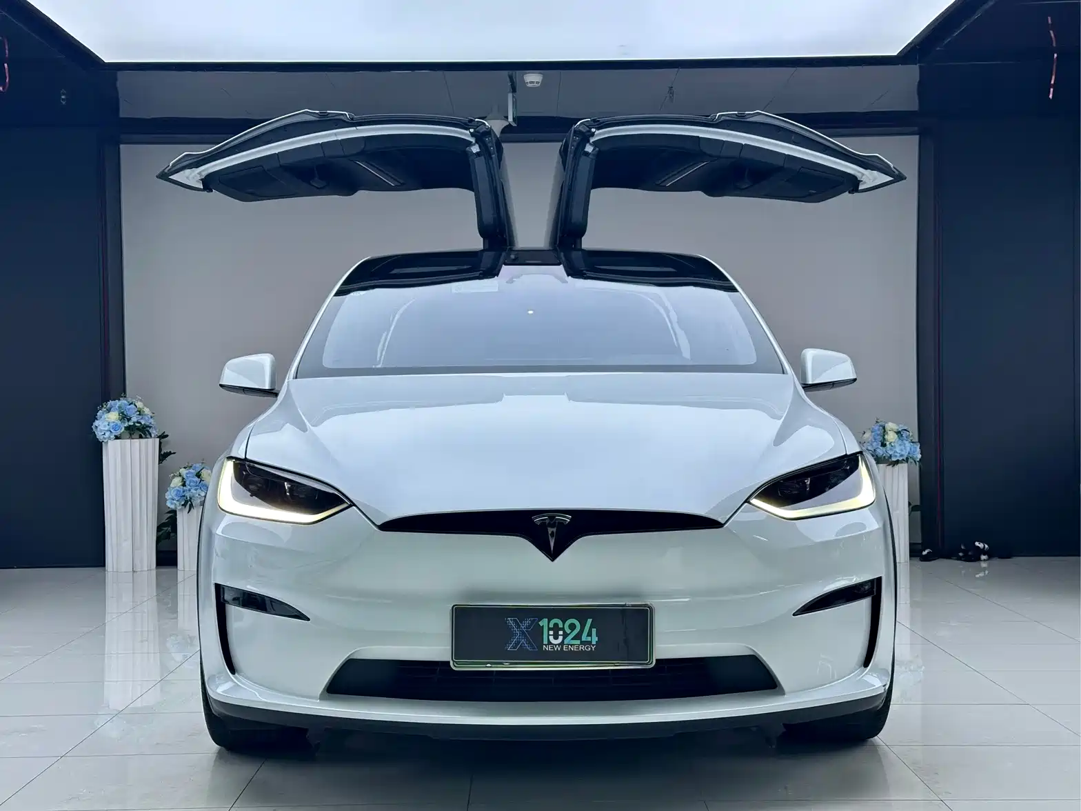 Фото 2 - Tesla Model X