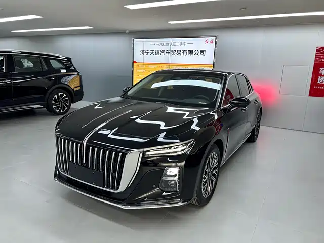  Hongqi Hongqi H5 2024 1.5T DCT Smart Connect Flag Rhythm Edition