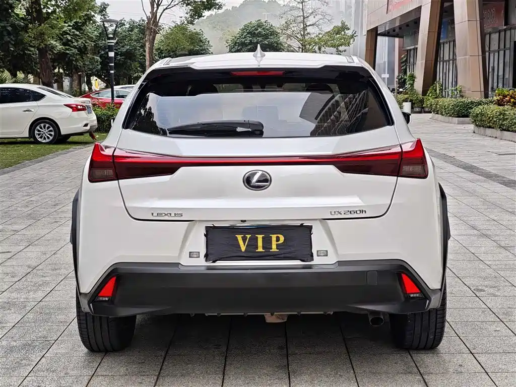 Lexus UX 2020 260h Explore Cool Edition China V фото 15