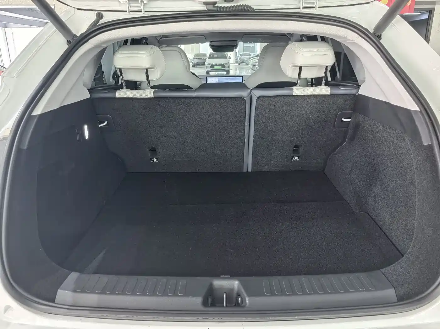 ARCFOX EXTREME FOX POLAR FOX ALPHA T5