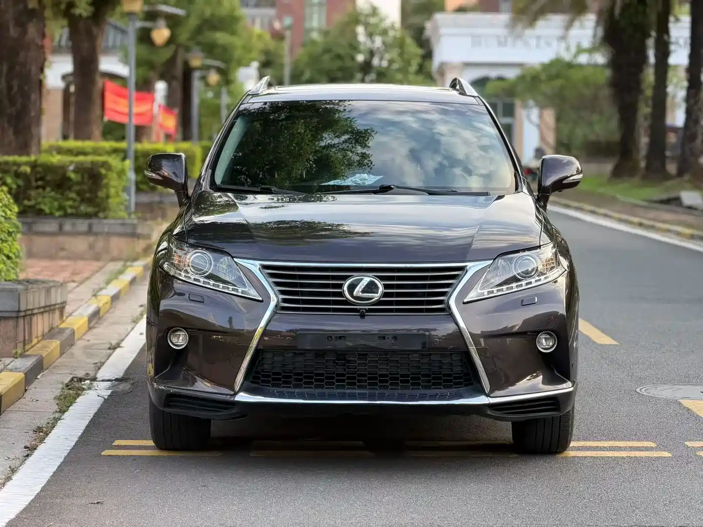 Lexus RX Classic 2014 2013 270 Elite