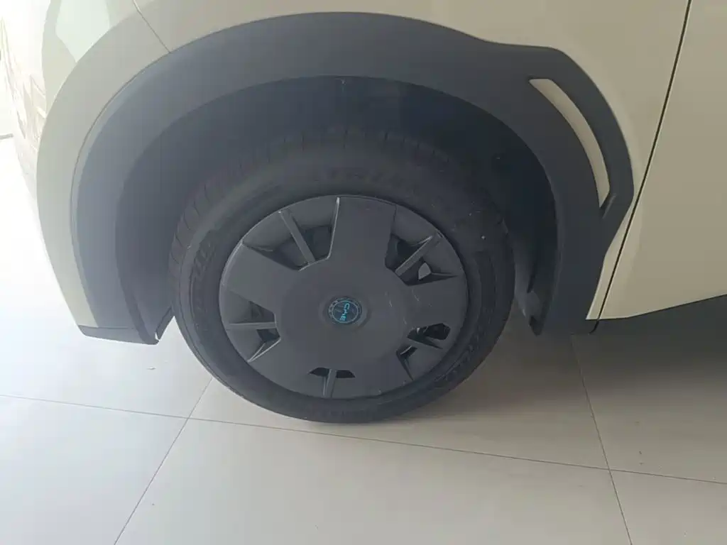 BYD Seagull 2026 2025 305km Vitality