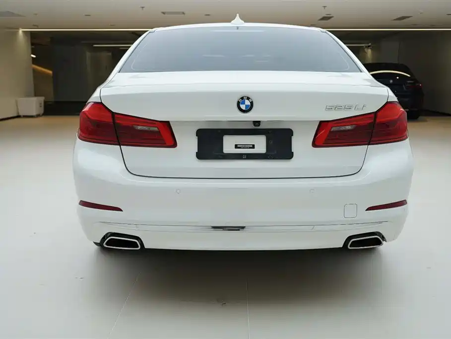 BMW 5 Series 2020 525Li Luxury Package фото 4