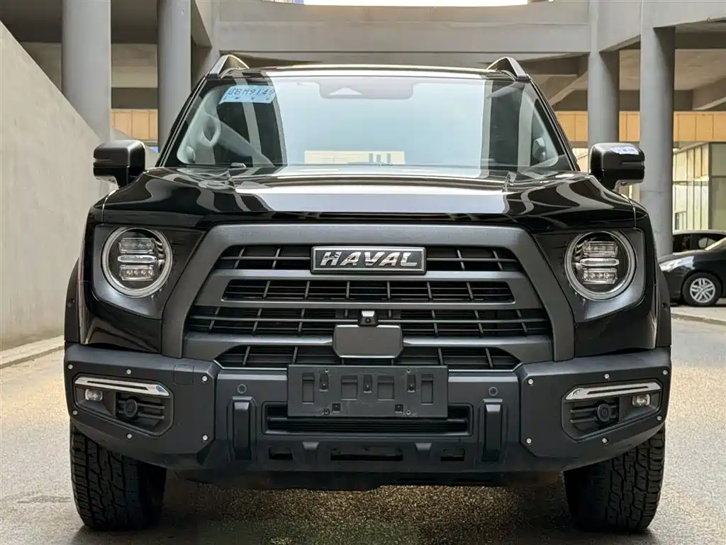 HAVAL BIG DOG