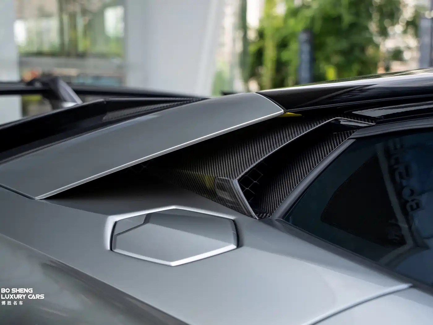 Lamborghini Aventador 2019 2019 Aventador SVJ