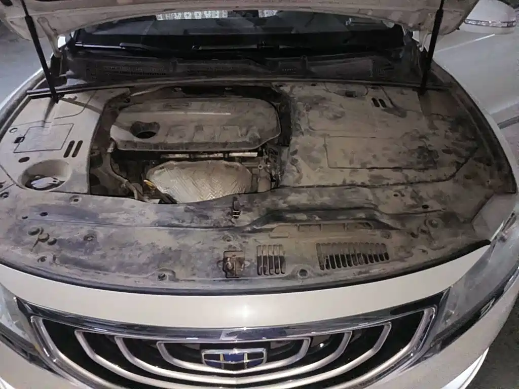 Geely Borui 2016 2016 2.4L Comfort Edition