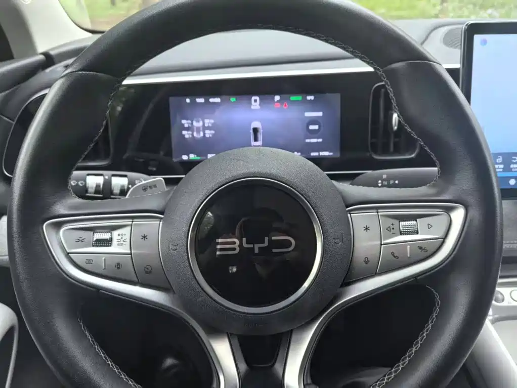BYD Hai Shi 05 EV 2025 2025 520KM Smart Navigation Edition