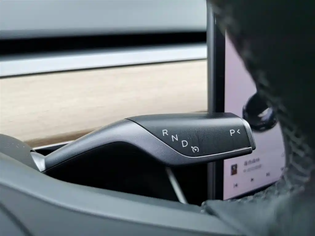 Tesla Model 3 (Import) 2019 2019 Performance High-Efficiency All-Wheel Drive Version