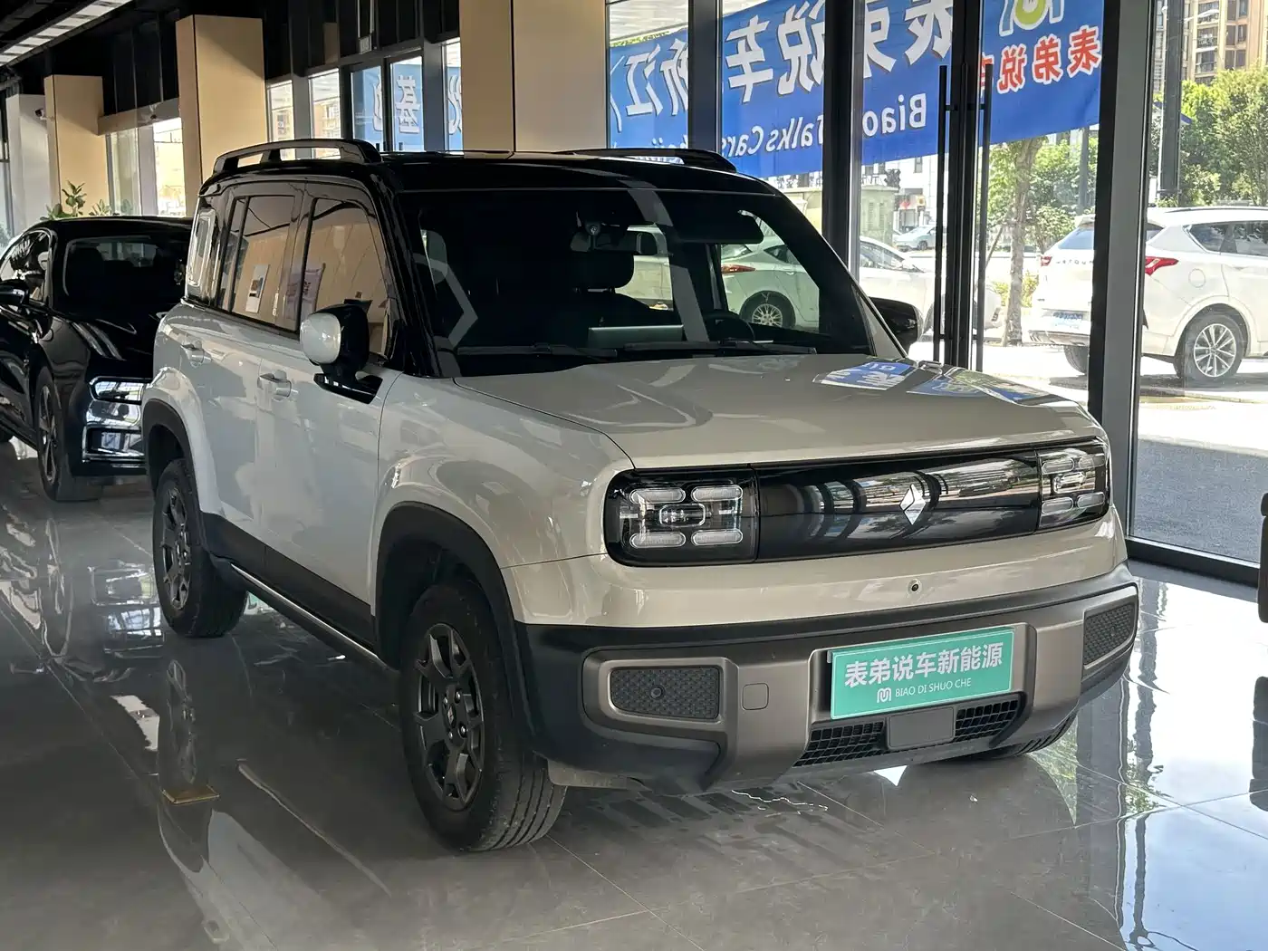 Baojun Yueye Plus 2025 2026 301km Flagship
