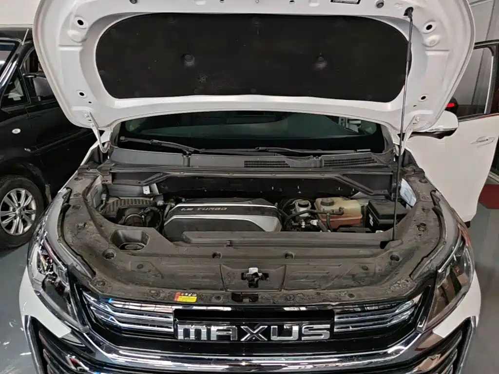 Фото 20 - SAIC Maxus Maxus G50