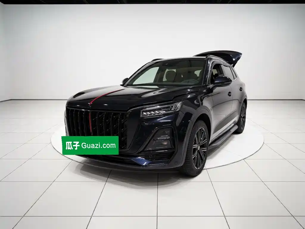 Фото 2 - Hongqi HS5