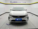 Фото 2 - Geely Binrui