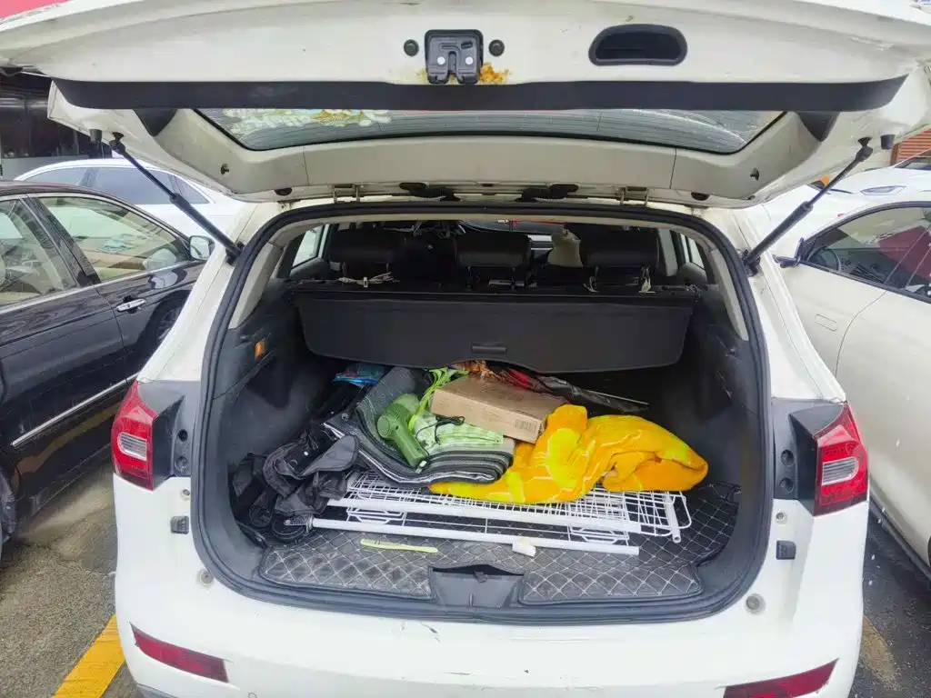 2016 Zotye T600