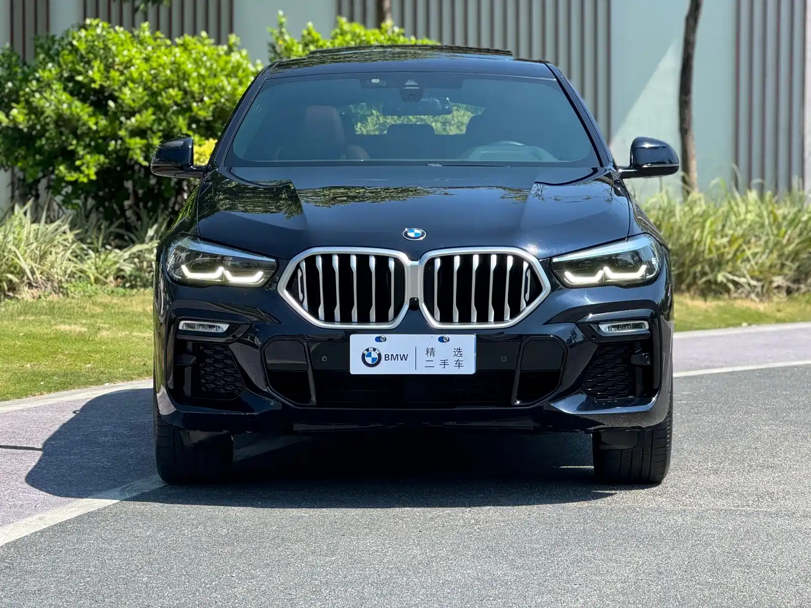 صورة 2 - BMW X6