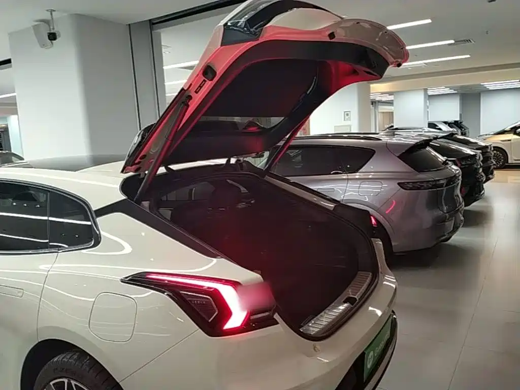 ZEEKR 001 2025 2025 YOU Edition 100kWh AWD