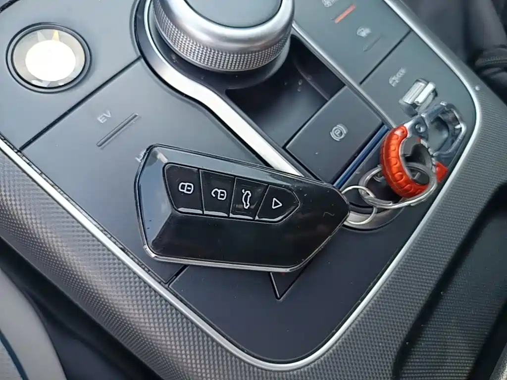 BYD Destroyer 05 2025 2024 Glory Edition DM-i 55KM Luxury
