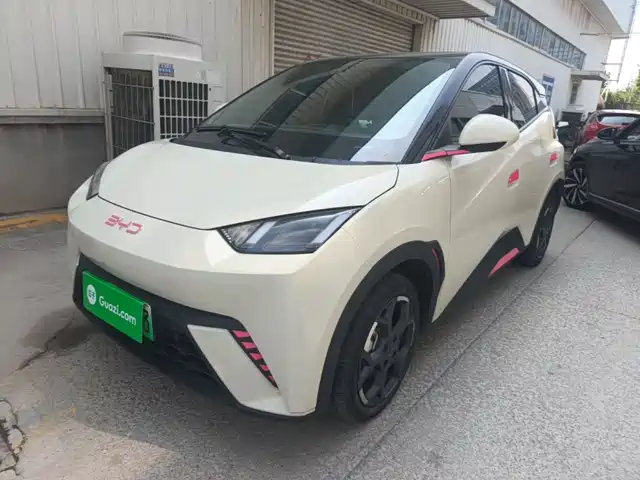 BYD Seagull 2024