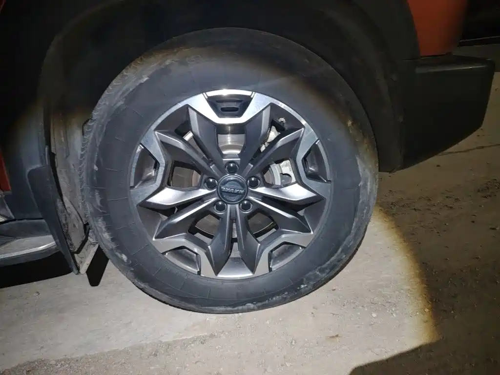 Haval Dargo 2021 2021 2.0T DCT 4WD Chinese Rural Dog Edition